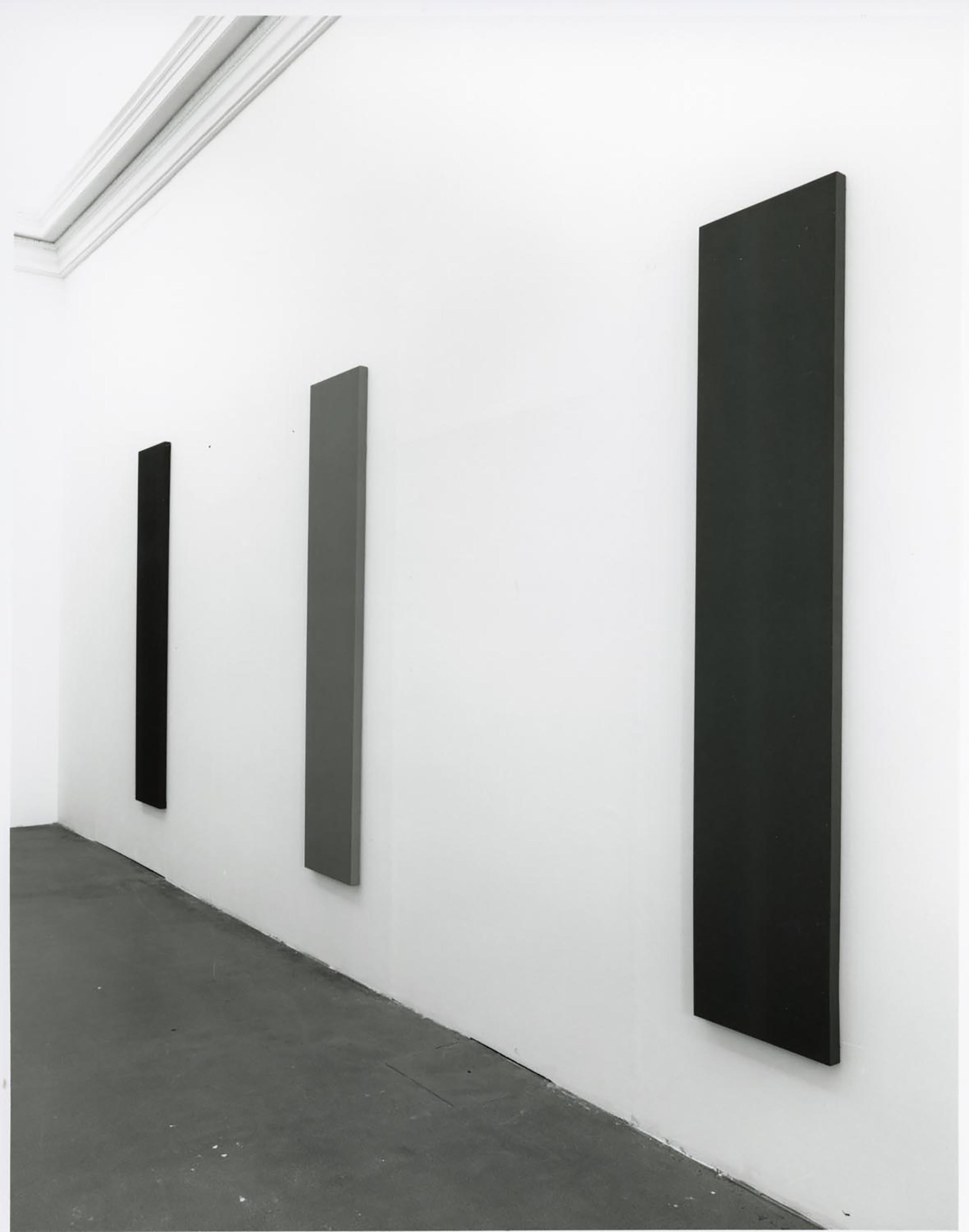 Alan Charlton, Column paintings, 1989